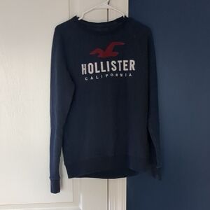 Hollister Men Dark Blue Crew Neck Sweater